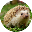 Jimmy Bernard profile picture